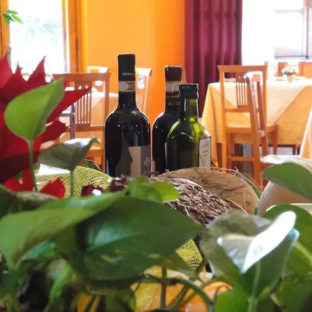 Alloggio per agriturismo Agriturismo Le Valli *